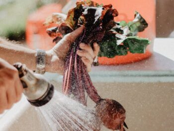 Ünnepi készülődés