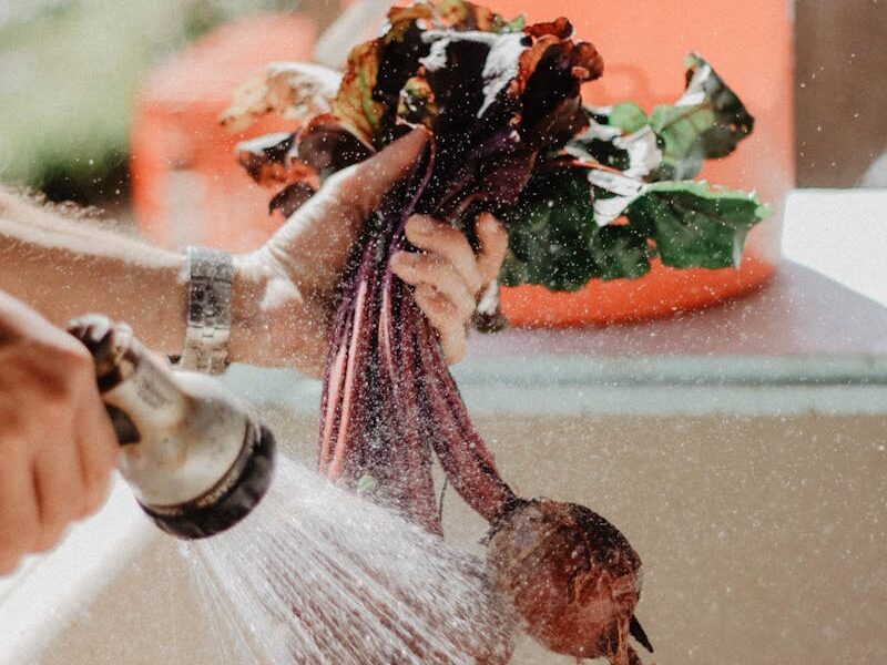 Ünnepi készülődés